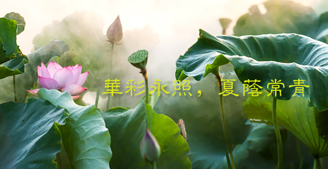 banner